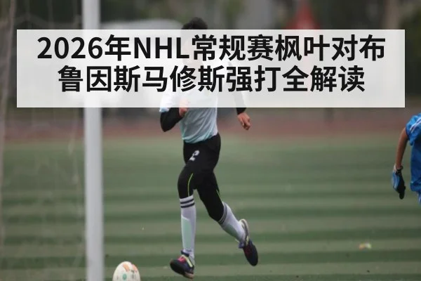 2026年NHL常规赛枫叶对布鲁因斯马修斯强打全解读 | kaiyun